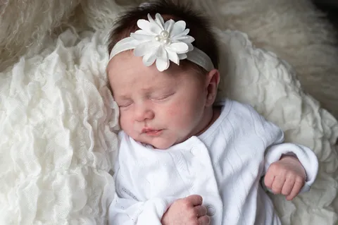 Baby Siena
