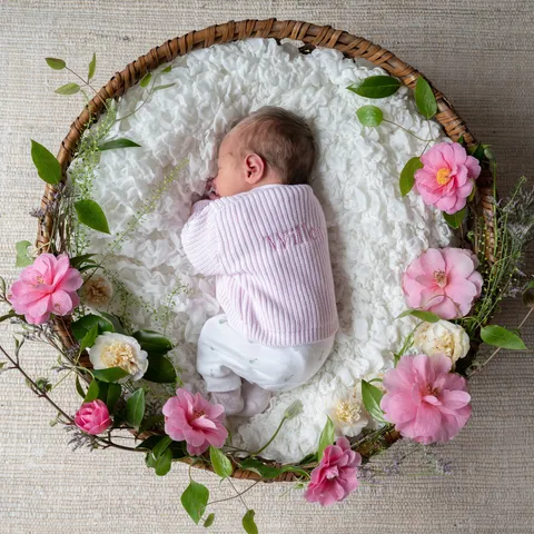 Baby Willow