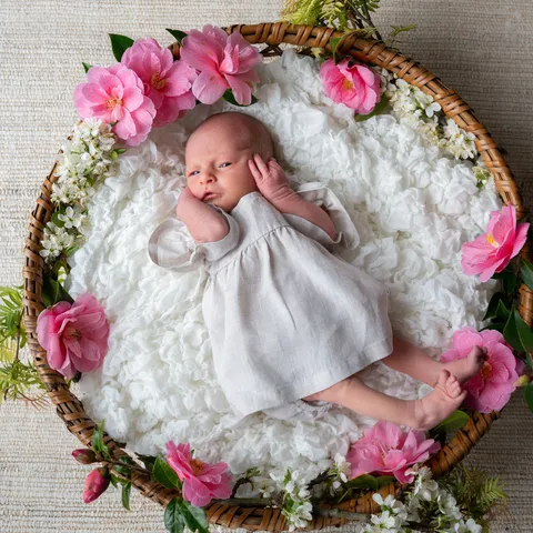 Baby Poppy